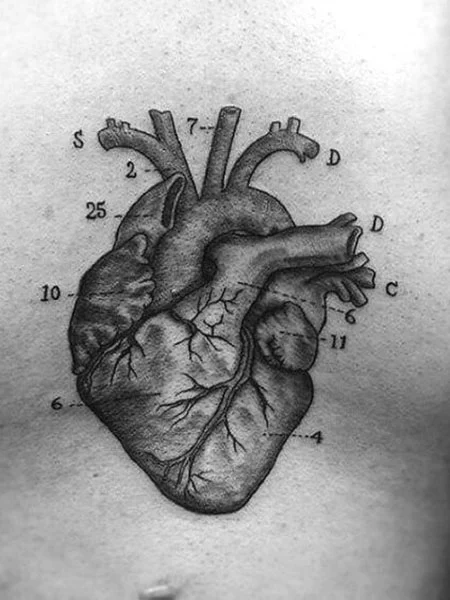Science Chest Tattoo
