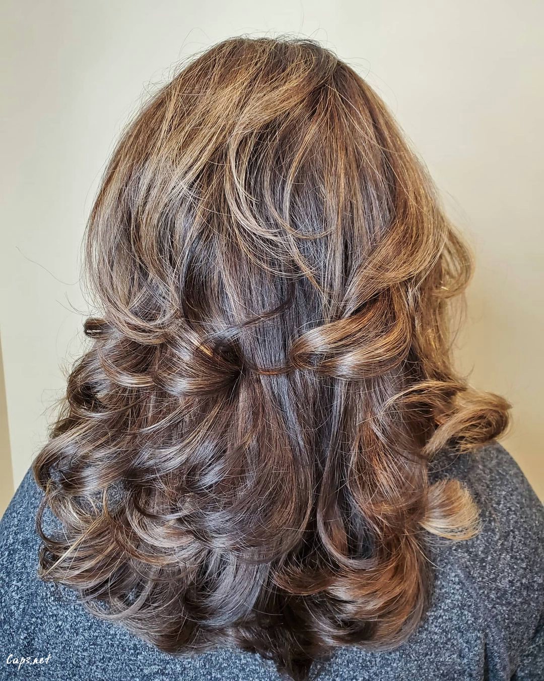 Brown Hairstyle With Highlights U Cut
