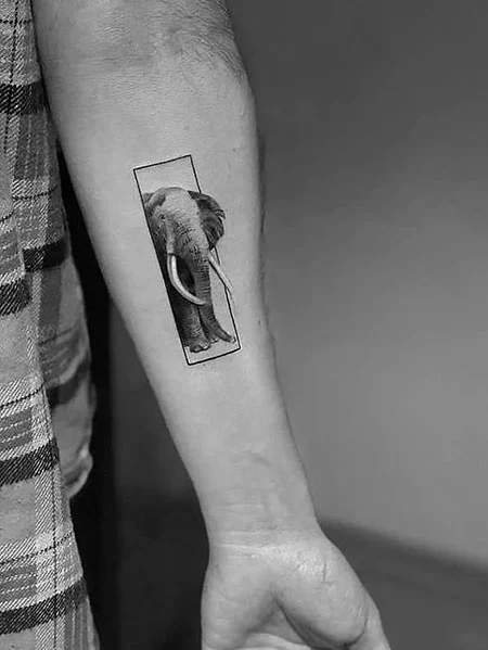 Elephant tattoo men