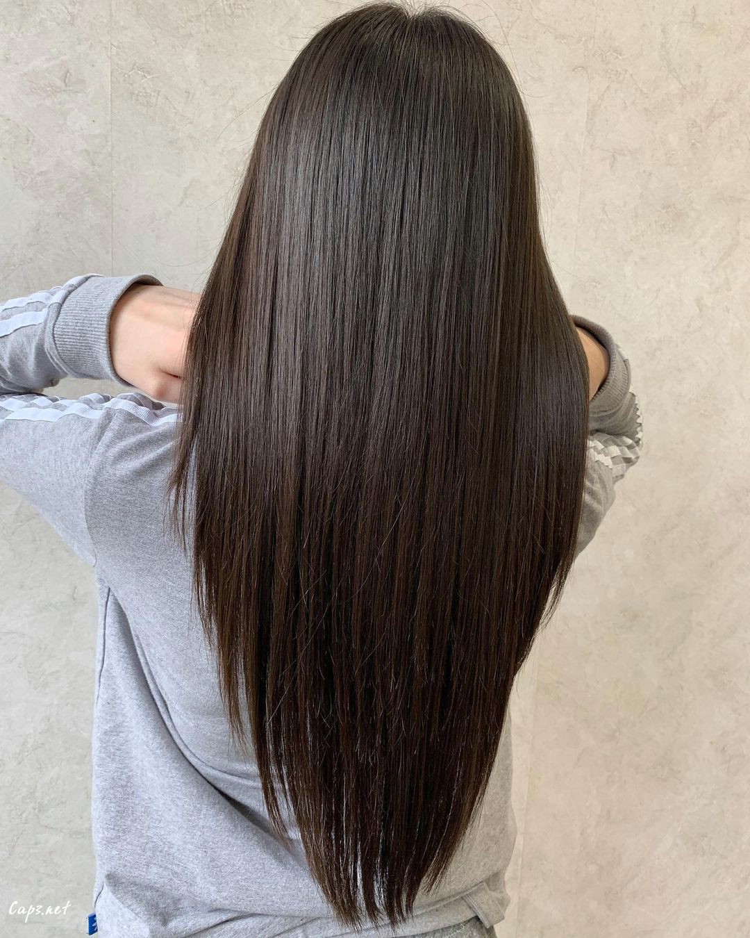 Straight Long Natural Brown V Cut Hair