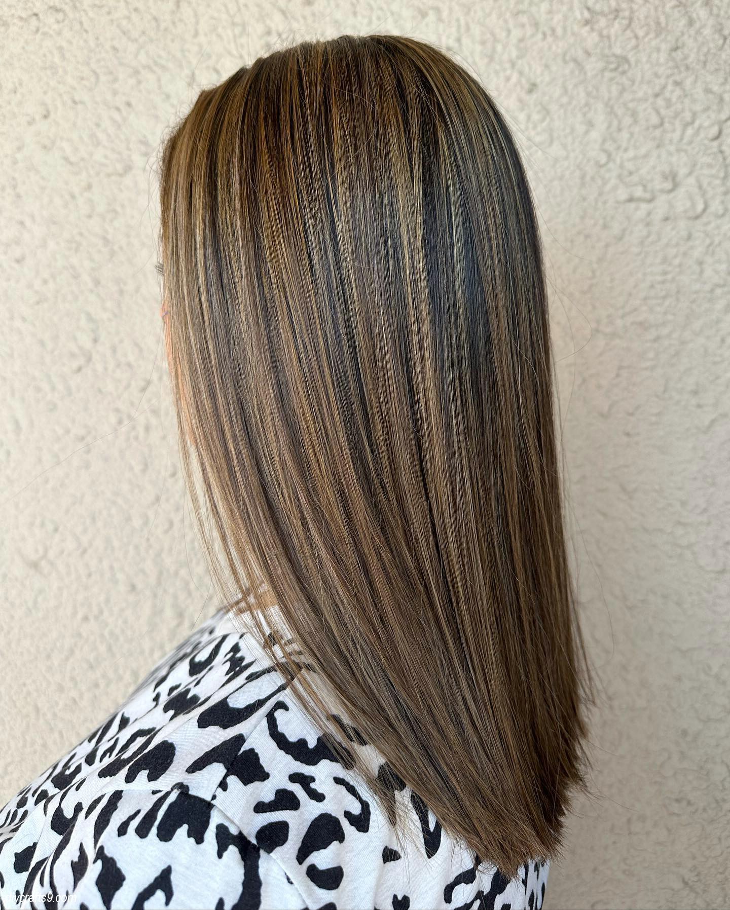 Simple Everyday Brown Hair With Caramel Highlights