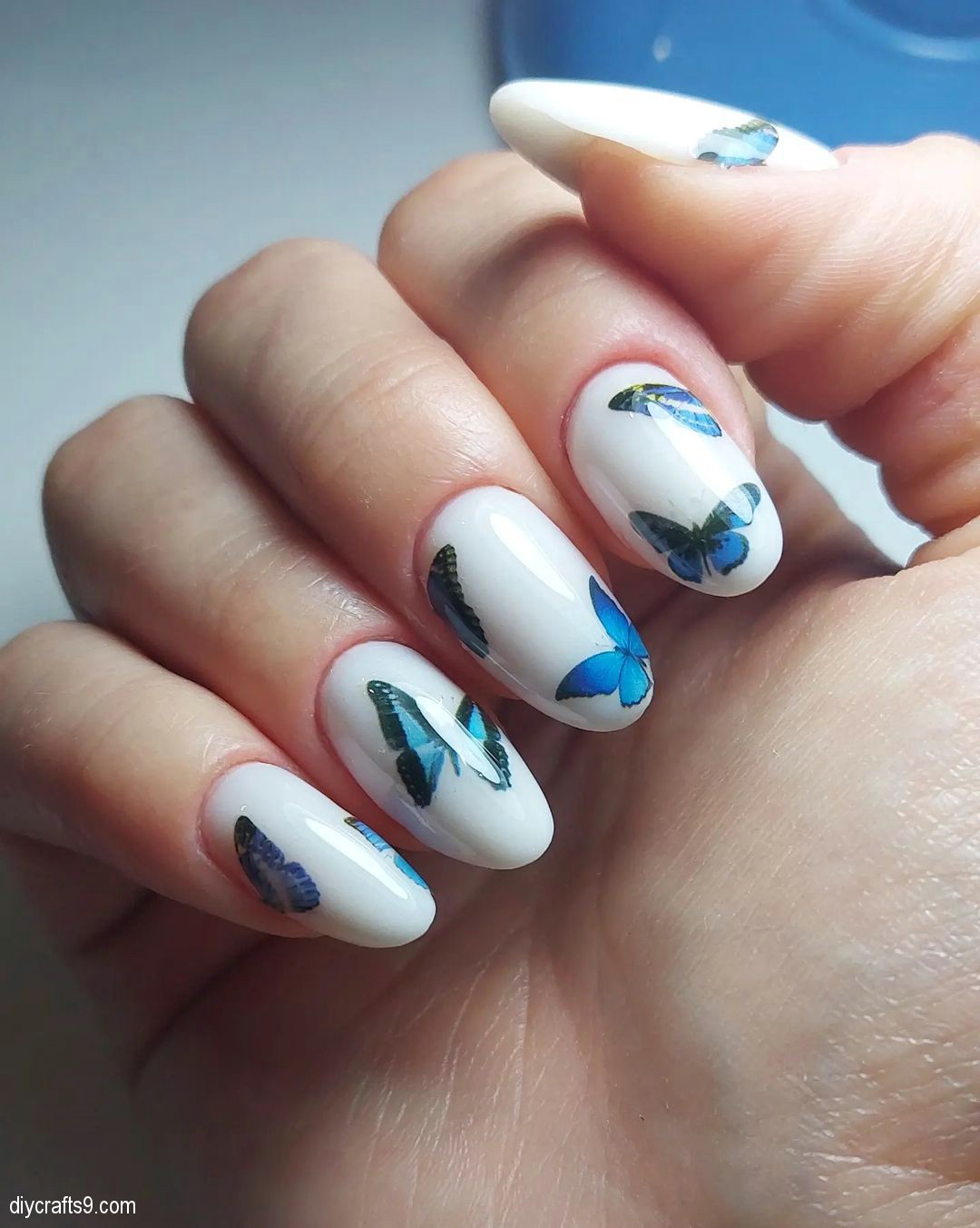 White Nails With Butterflies