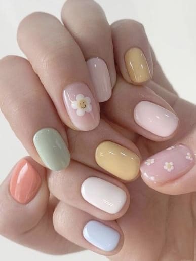 Soft and Sweet Pastel Petals